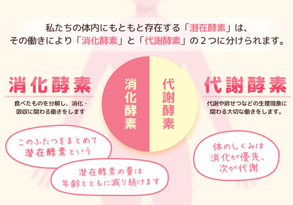 ダイエット画像6