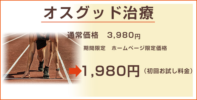 料金