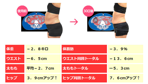 シェイプアップ画像3