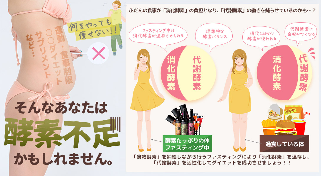 酵素のバランス