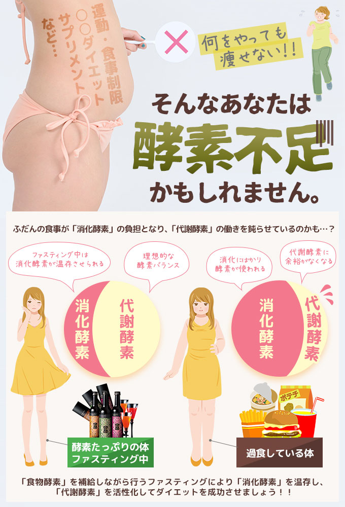 酵素の種類