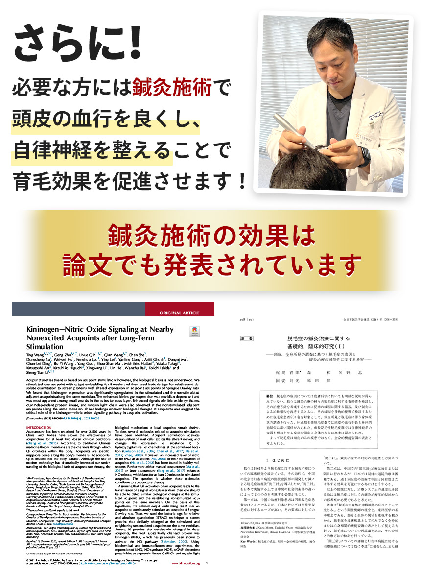 発毛鍼灸